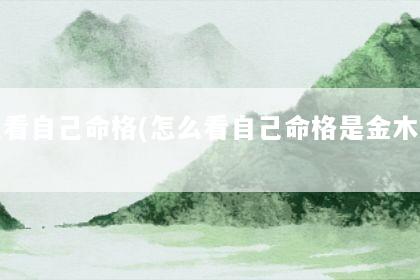 文章配图