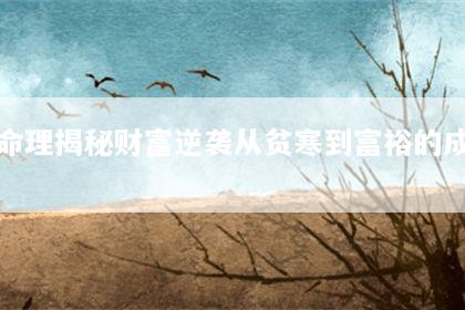 文章配图