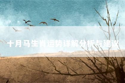 十月马生肖运势详解分析与建议